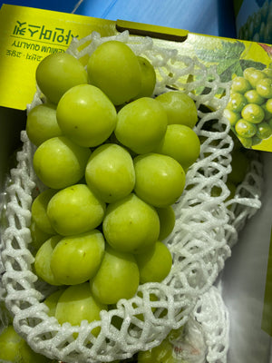 Korean Shine Muscat Grapes (sold per pack)