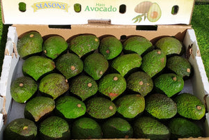 Dole Hass Avocados By The Box 24pcs