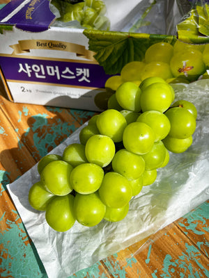 Korean Shine Muscat Grapes By The Box (2packs per box)
