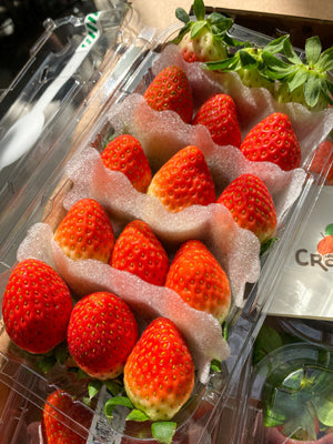 Premium Korean Strawberries 330g (long container) By The Box (4packs)