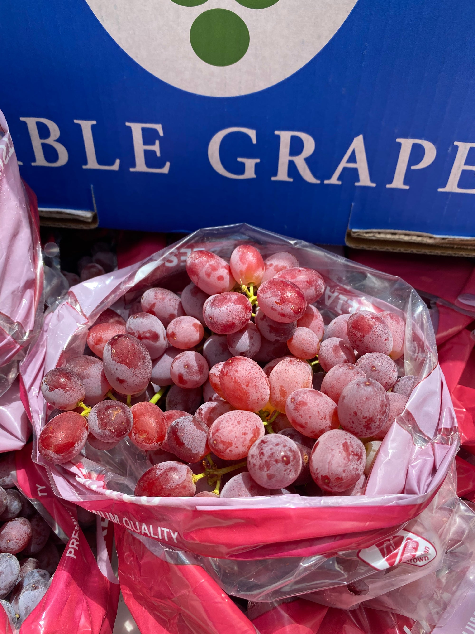 Buy 2 Red Seedless Flames Grapes for only Php 1100