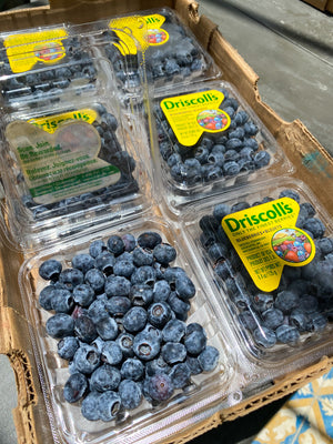 US Driscoll's Blueberries By The Box