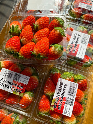 Premium Korean Strawberries 250g
