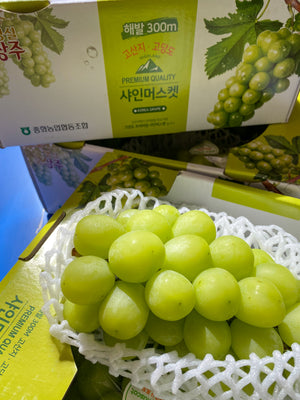 Korean Shine Muscat Grapes (sold per pack)