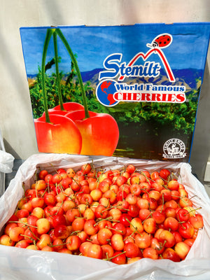 US Rainier Gold Cherries By The Box 4kg