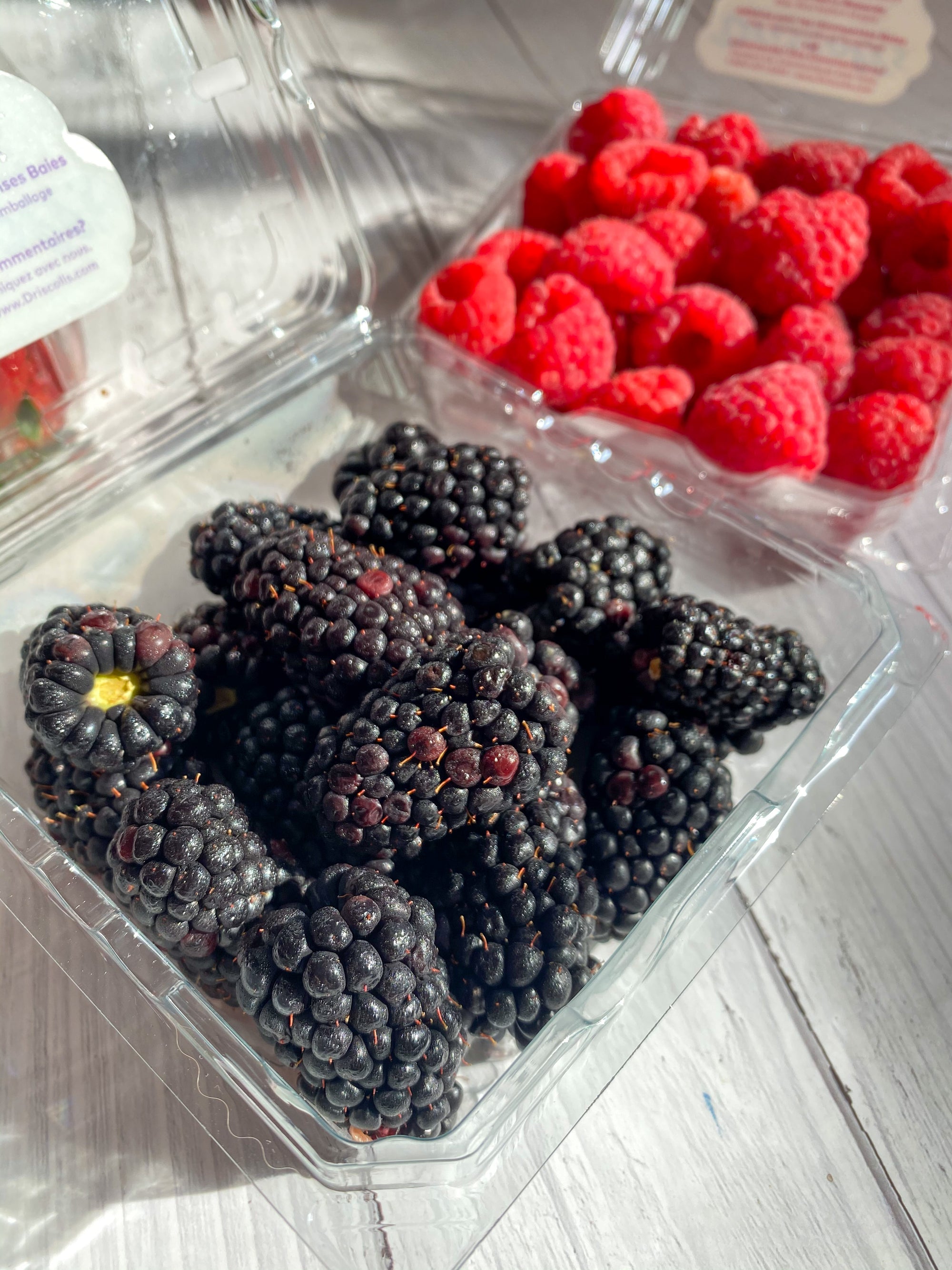 Buy 2 Driscoll's Blackberries for Php 1000