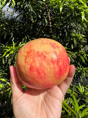 Soft Seeded Red Pomegranates (sold per pc)