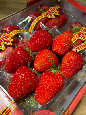 VitaBerry Korean Strawberries 330g By The Box