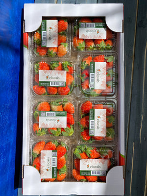 Korean Strawberries 250g By The Box (8 packs)