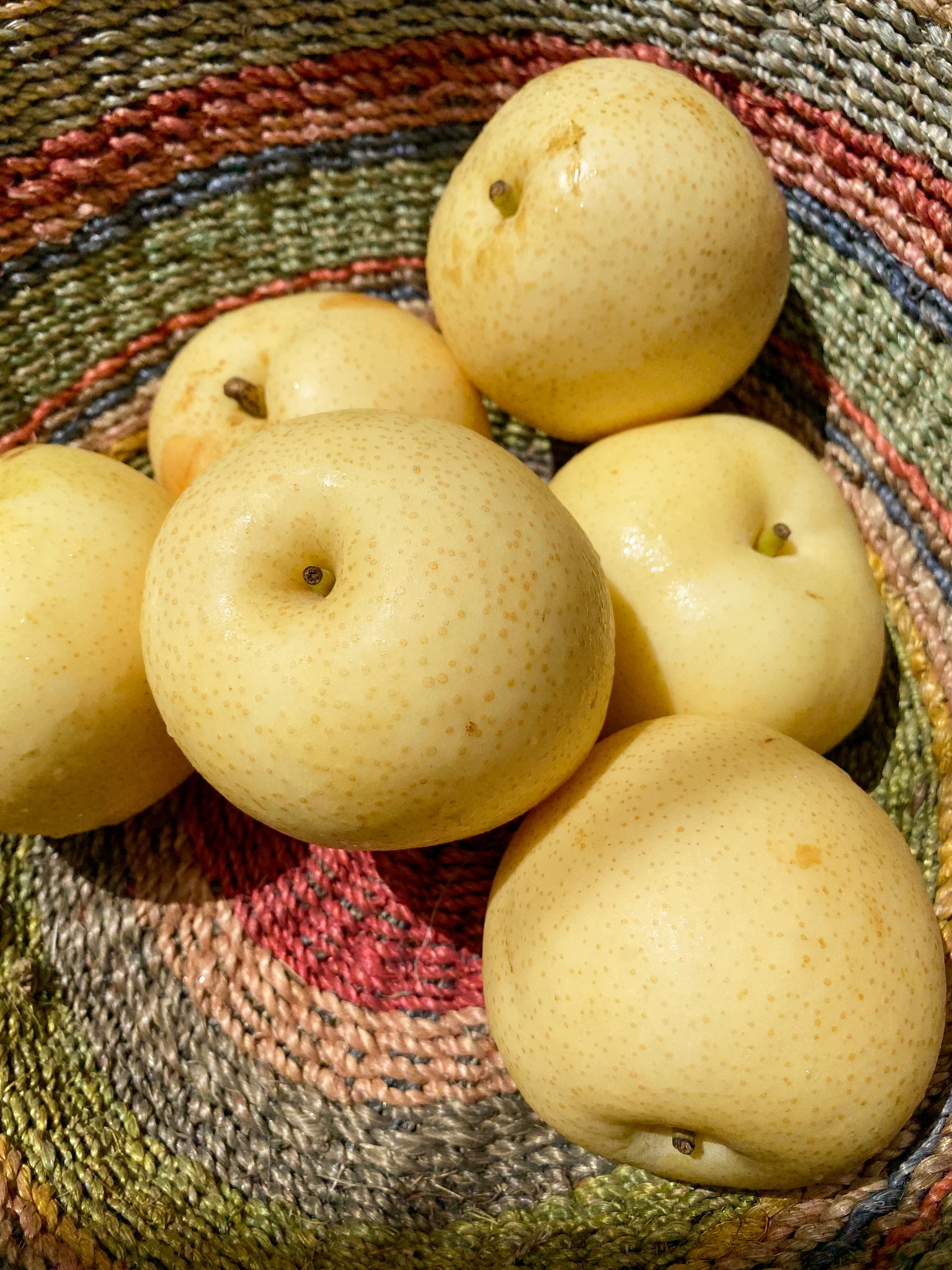 Century Pears