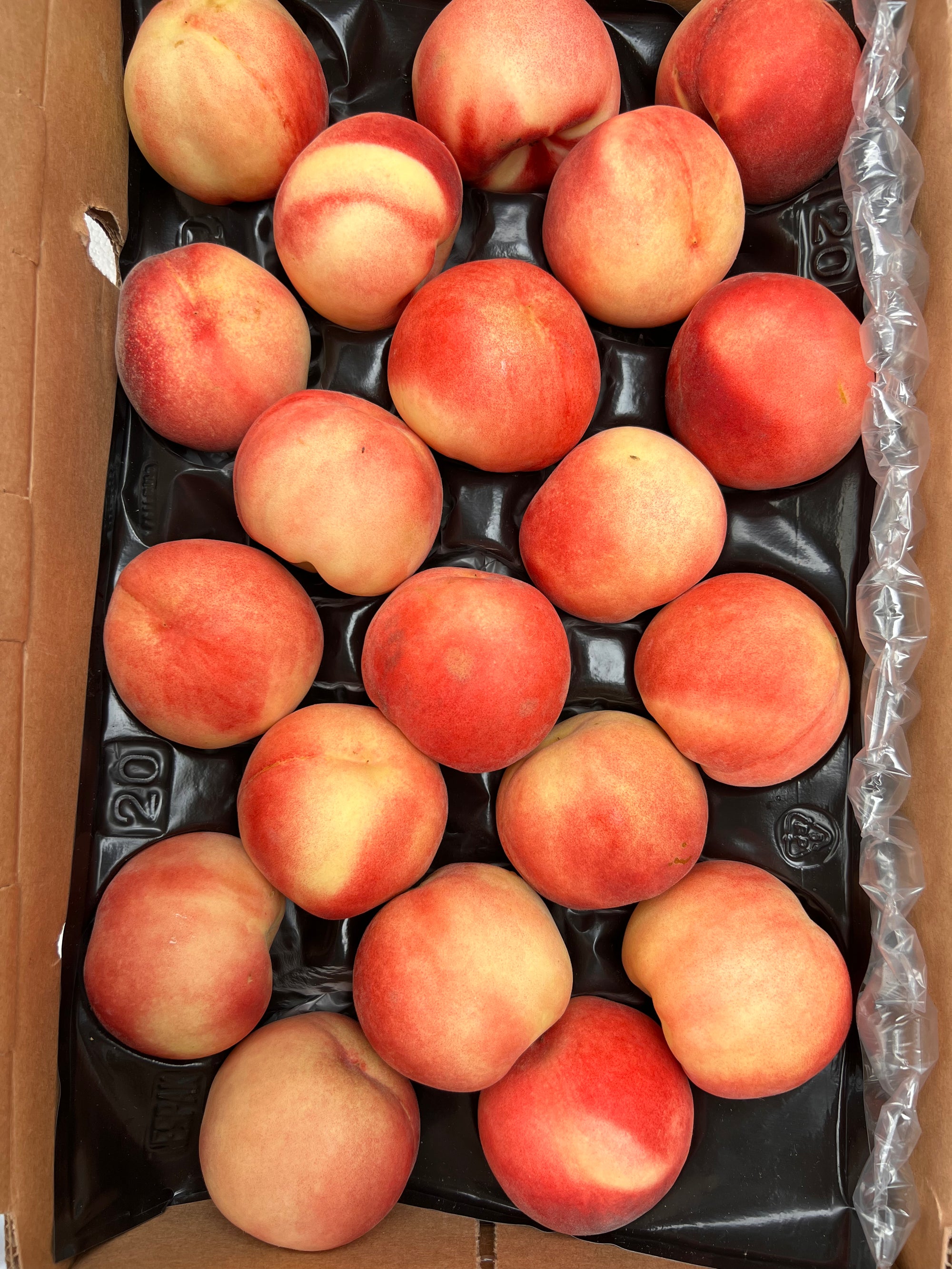 US Snow White Peach (sold per piece)