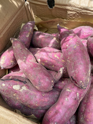 Japanese Sweet Potatoes By The Box 2.5kg