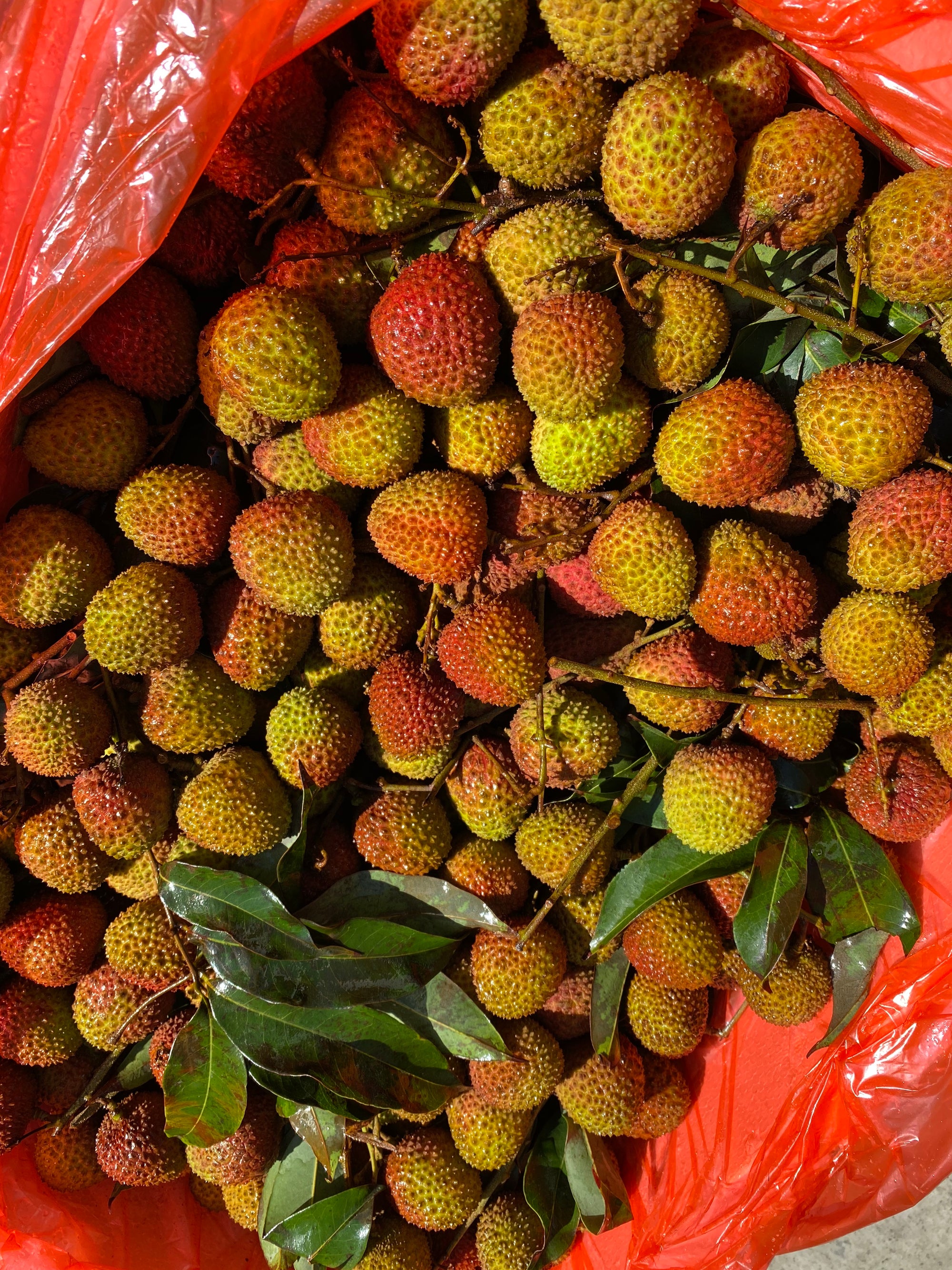 Small Seed Lychees